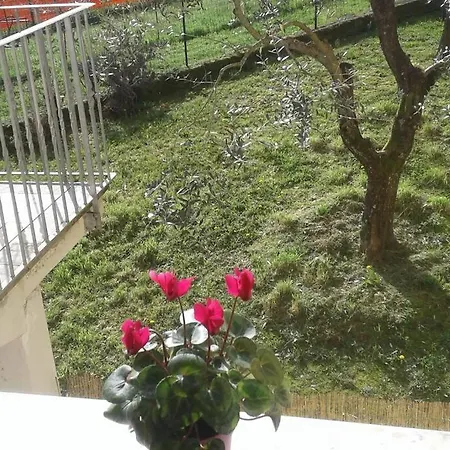 La Collina Casa Vicina Alle Cinque Terre