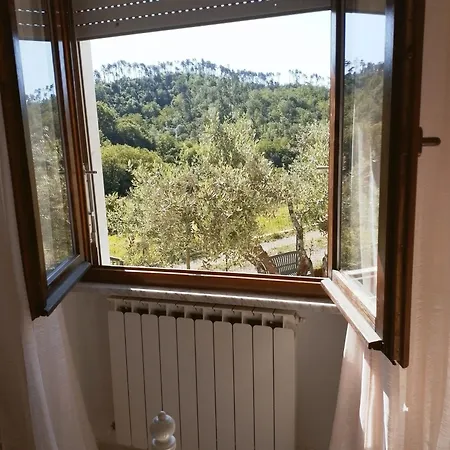 La Collina