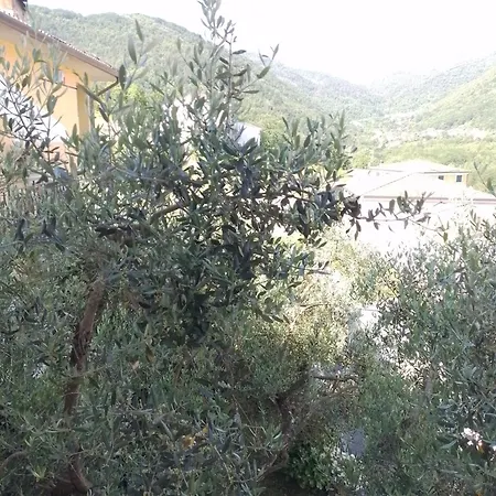 La Collina * Riccò del Golfo di Spezia