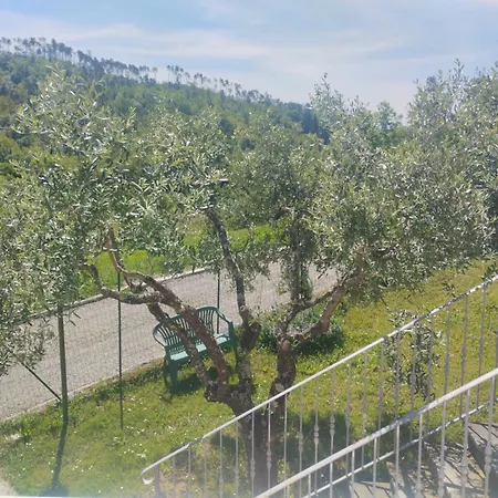 La Collina Casa Vicina Alle Cinque Terre Apartment Riccò del Golfo di Spezia