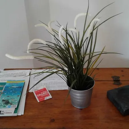 La Collina Ricco del Golfo di Spezia