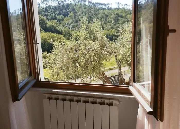 La Collina