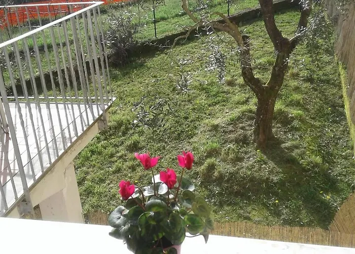 La Collina